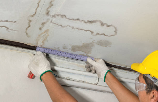 Reliable Basement Water Removal contractor in Thomaston, ME by Water Damage Irwin